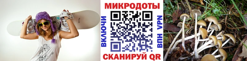 Купить где  Кемерово  Галлюциногенные грибы MAGIC MUSHROOMS 
